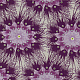 хлопок PWDB010 PURPLE