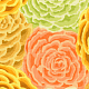хлопок GP1120.YELLO